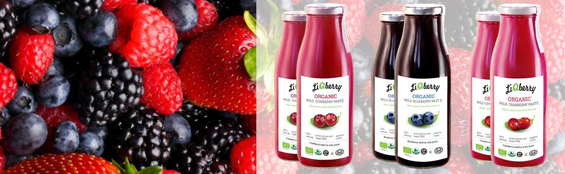 Пасты LiQberry